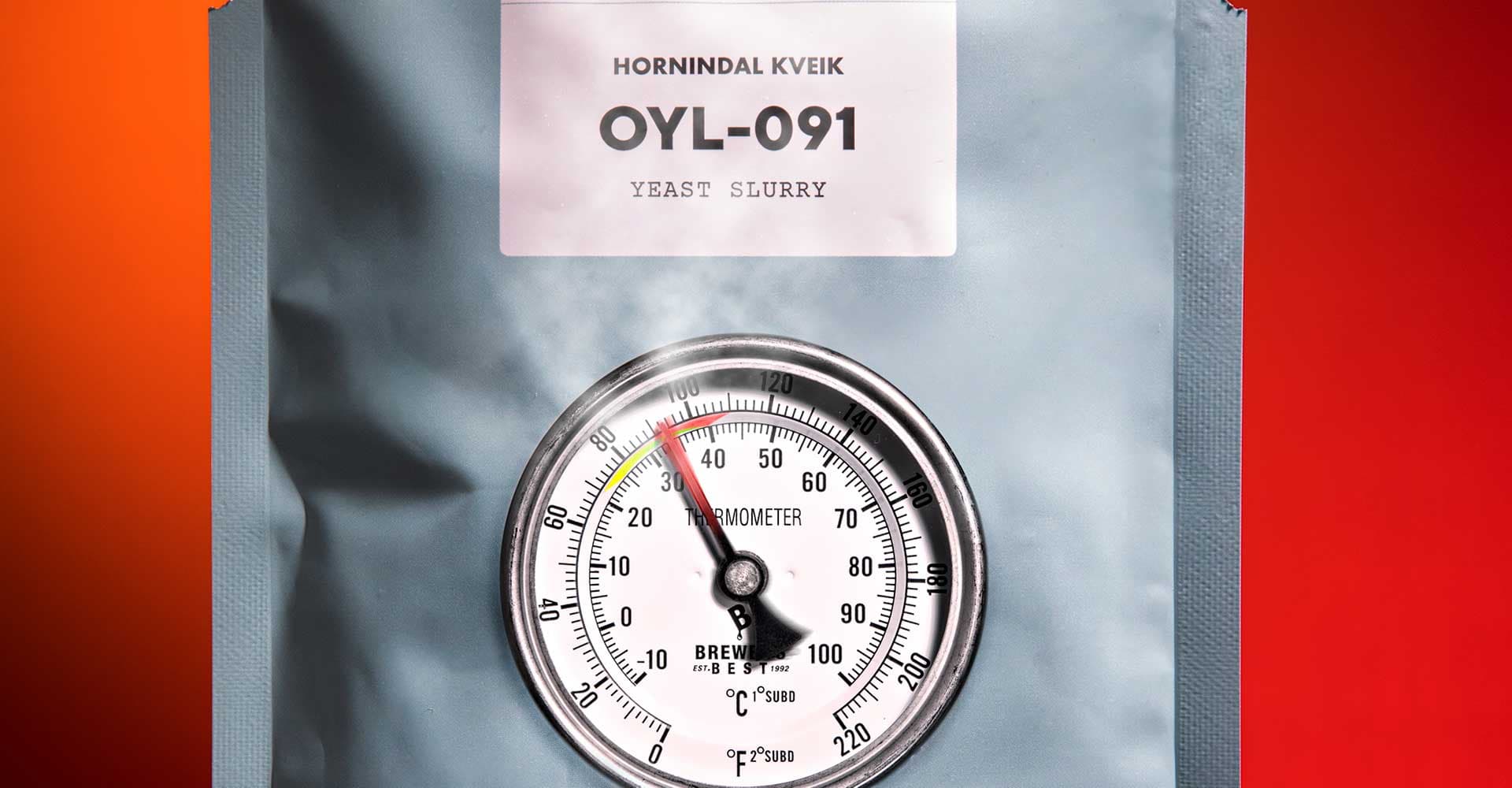 Brewing with Kveik: What Have We Learned So Far?