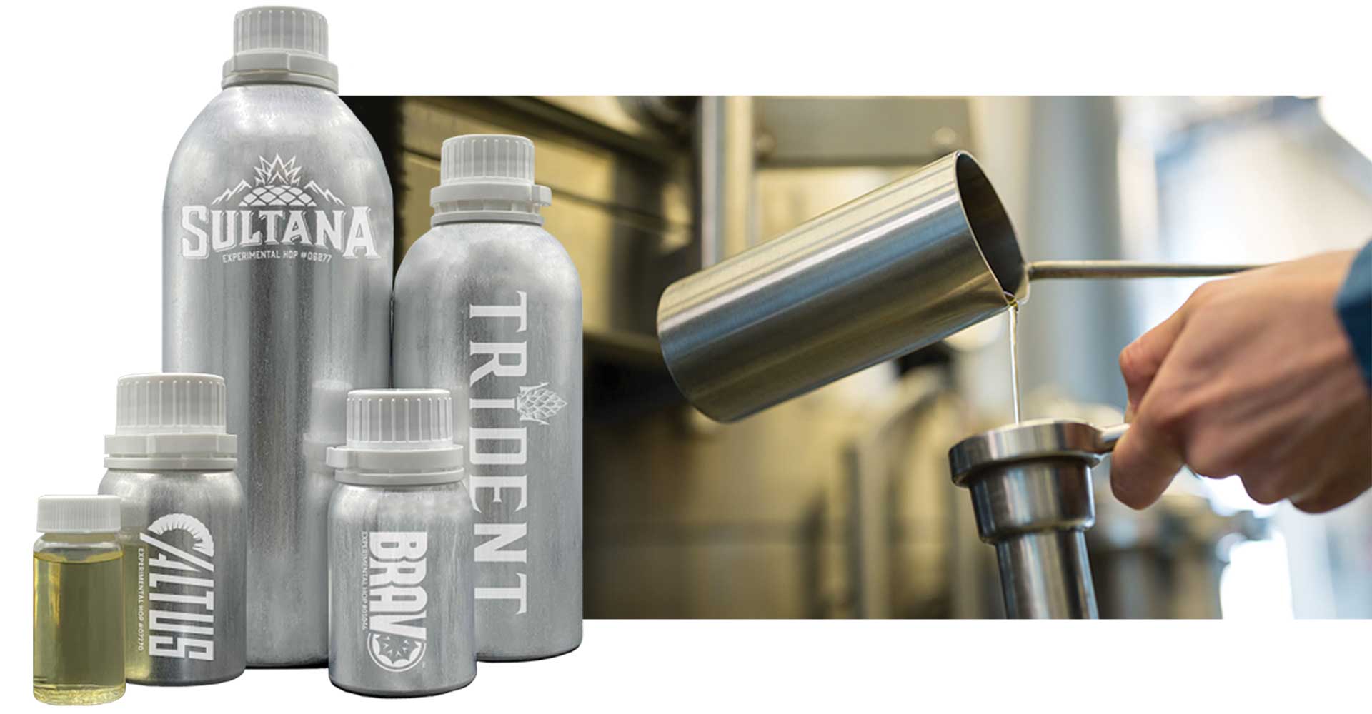 Hop Oils: Innovated for Beer—and Beyond