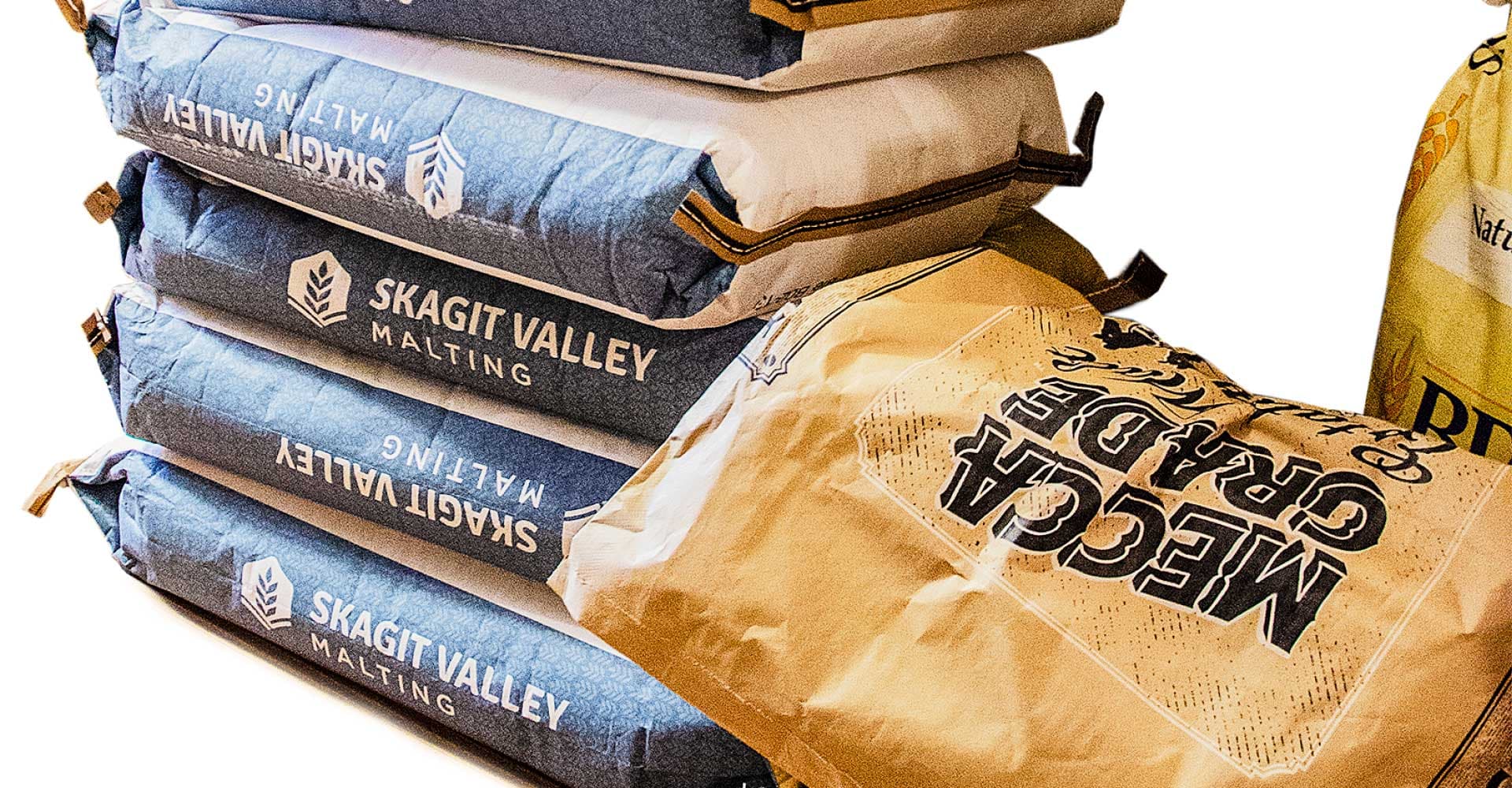 When Homebrewers Go Big: The Case for Buying in Bulk