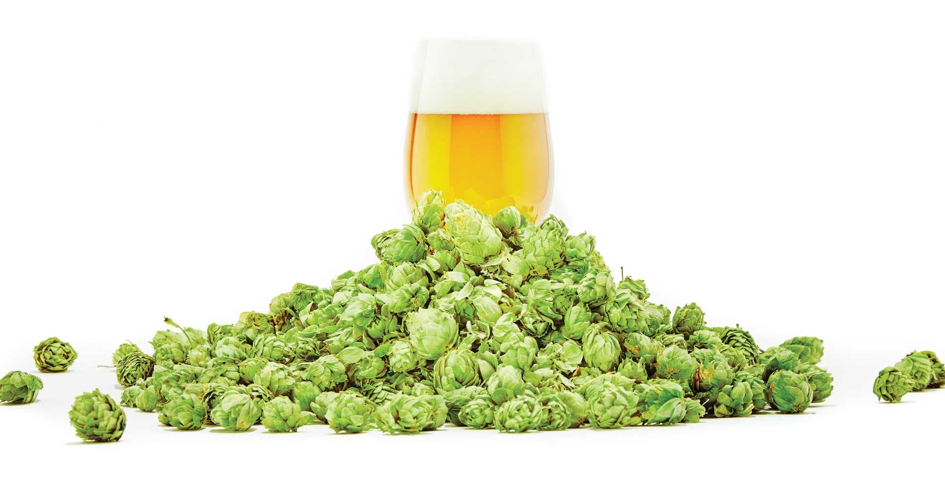 Recipe: Mitten Winds IPA