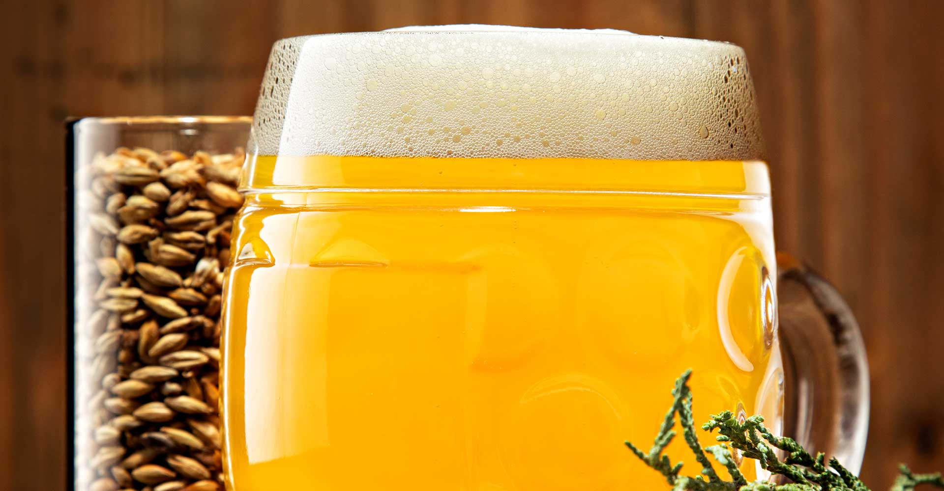 Kornøl: The Tale of the Ale of the Grain