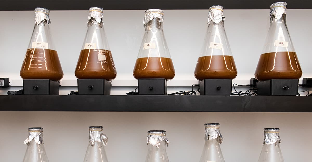 Video Tip: Appreciating the Intensity and Potential of High-Impact Aroma Compounds