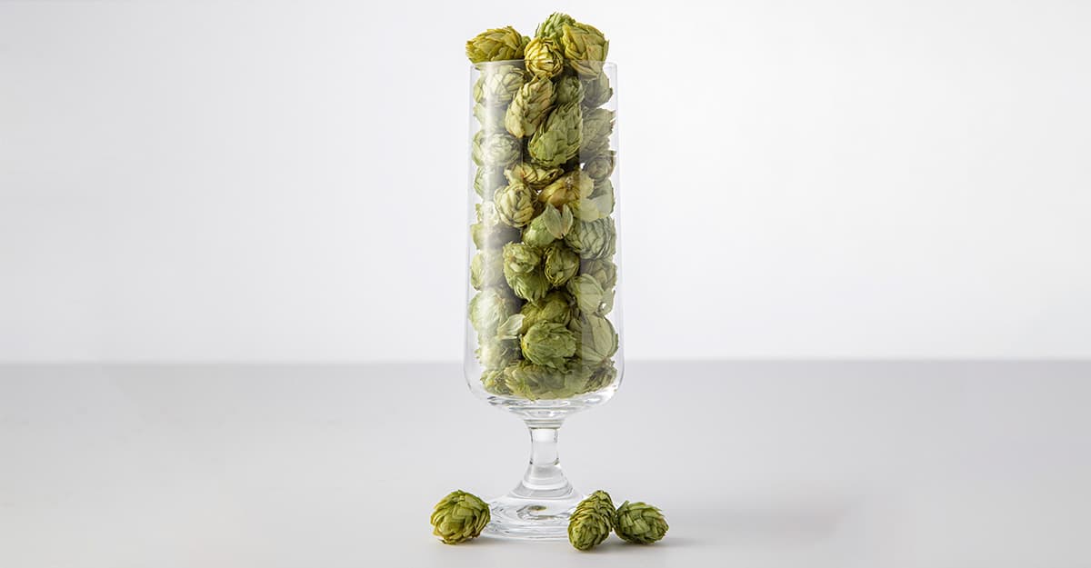 Recipe: Odell Pilsner Project: Lórien & HBC 1134