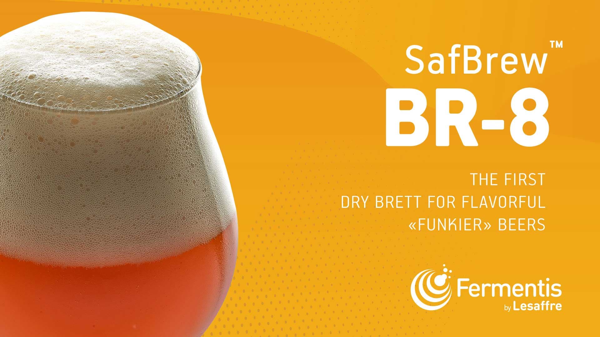 Fermentis introduces SafBrew™ BR-8, the first dry Brett for secondary fermentation in bottles or casks