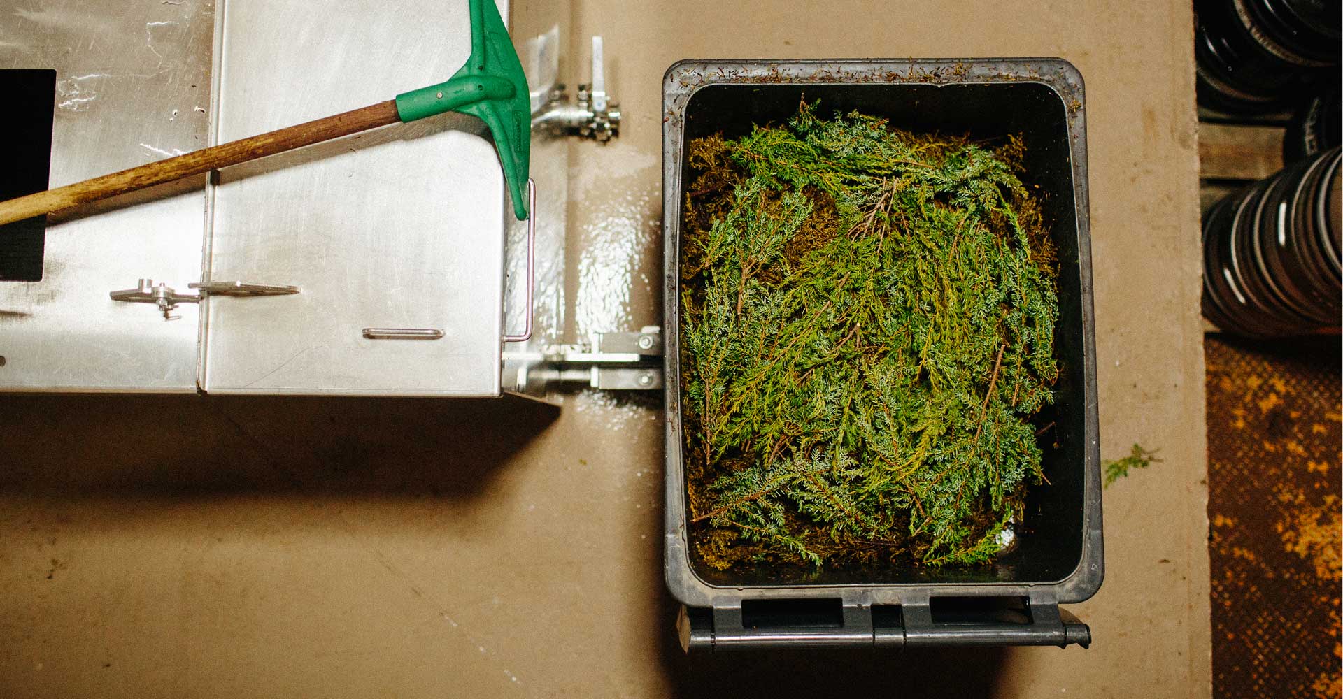 Eye of the Sheep: A North American Heimabrygg