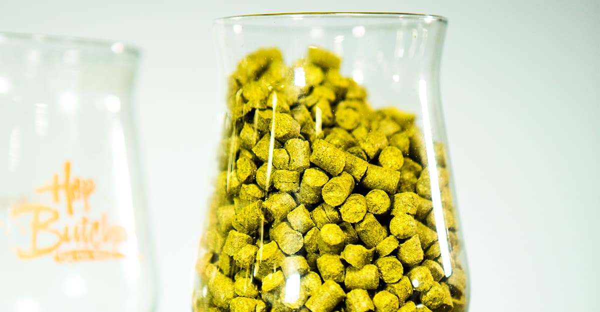 Video Tip: Augmenting Your Hops for the Aromas You Cherish