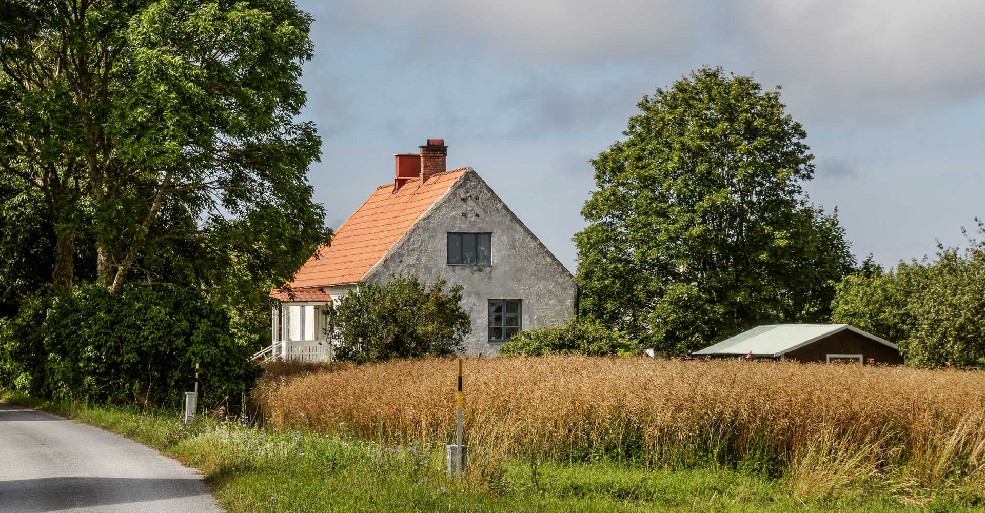 Gotlandsdricke: Sweden’s Elusive Smoked Ale