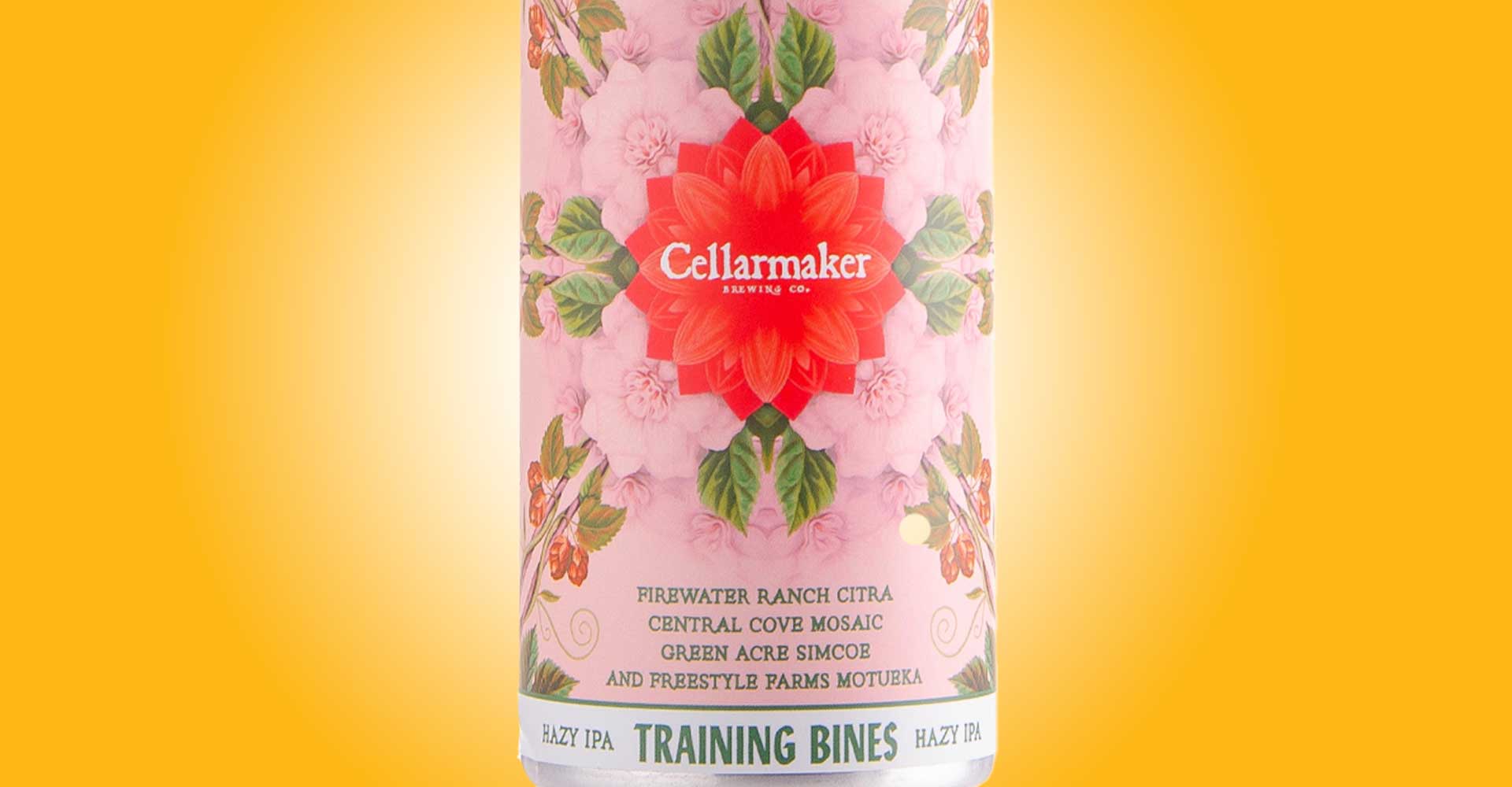 Recipe: Training Bines Hazy IPA