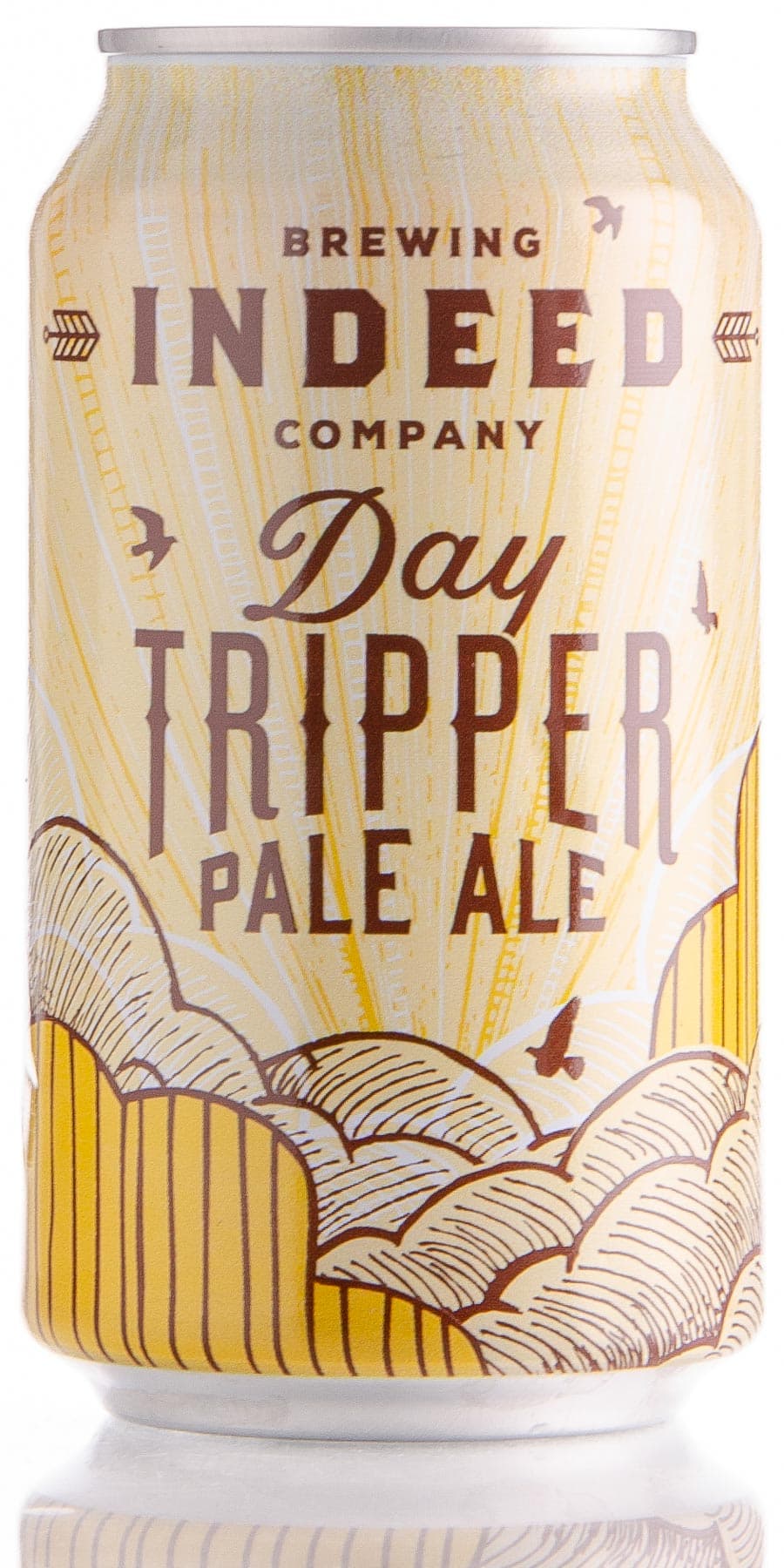 Day Tripper Pale Ale