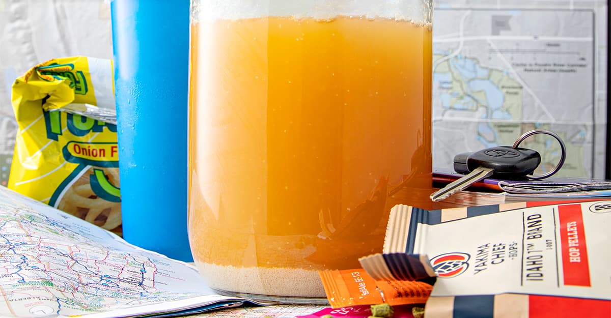 Air B & Brew: Travel-Size Brewing, On the Go