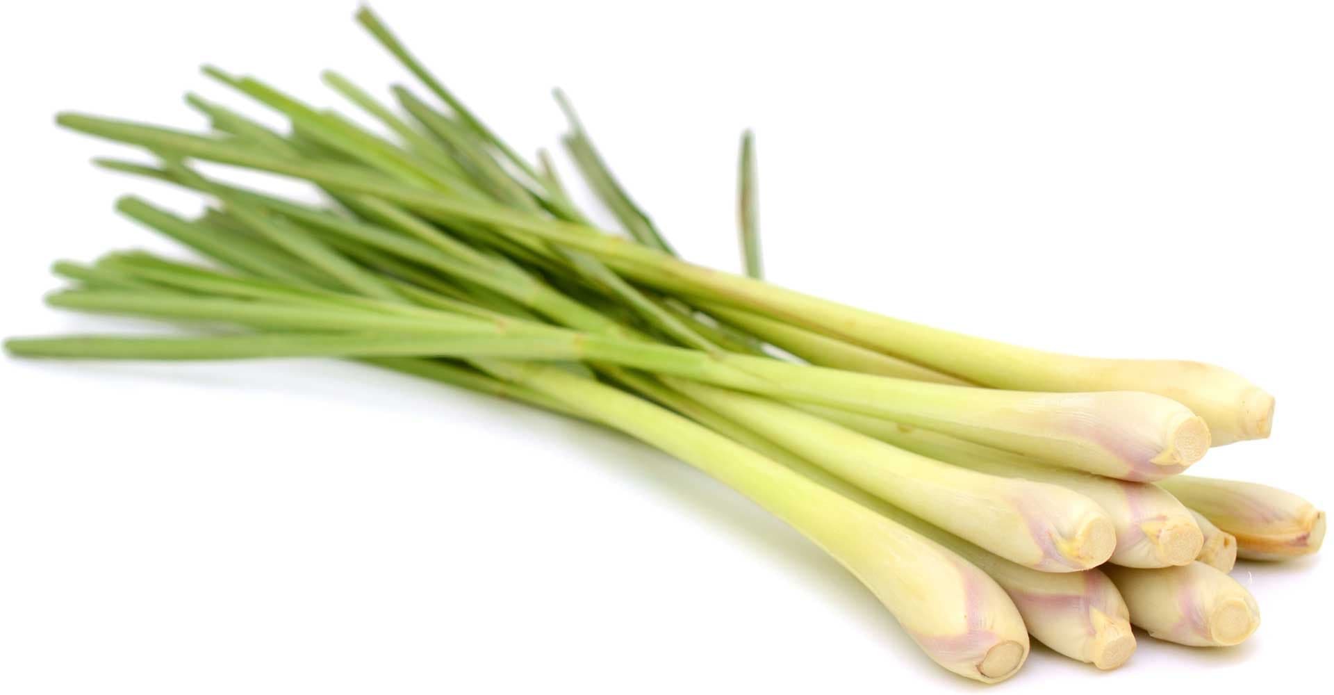 Special Ingredient: Lemongrass