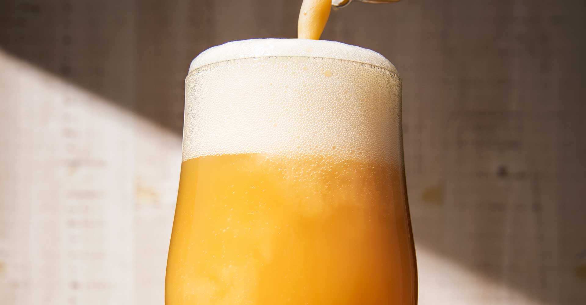 Brewer’s Perspective: The Origins of Luminous Beings