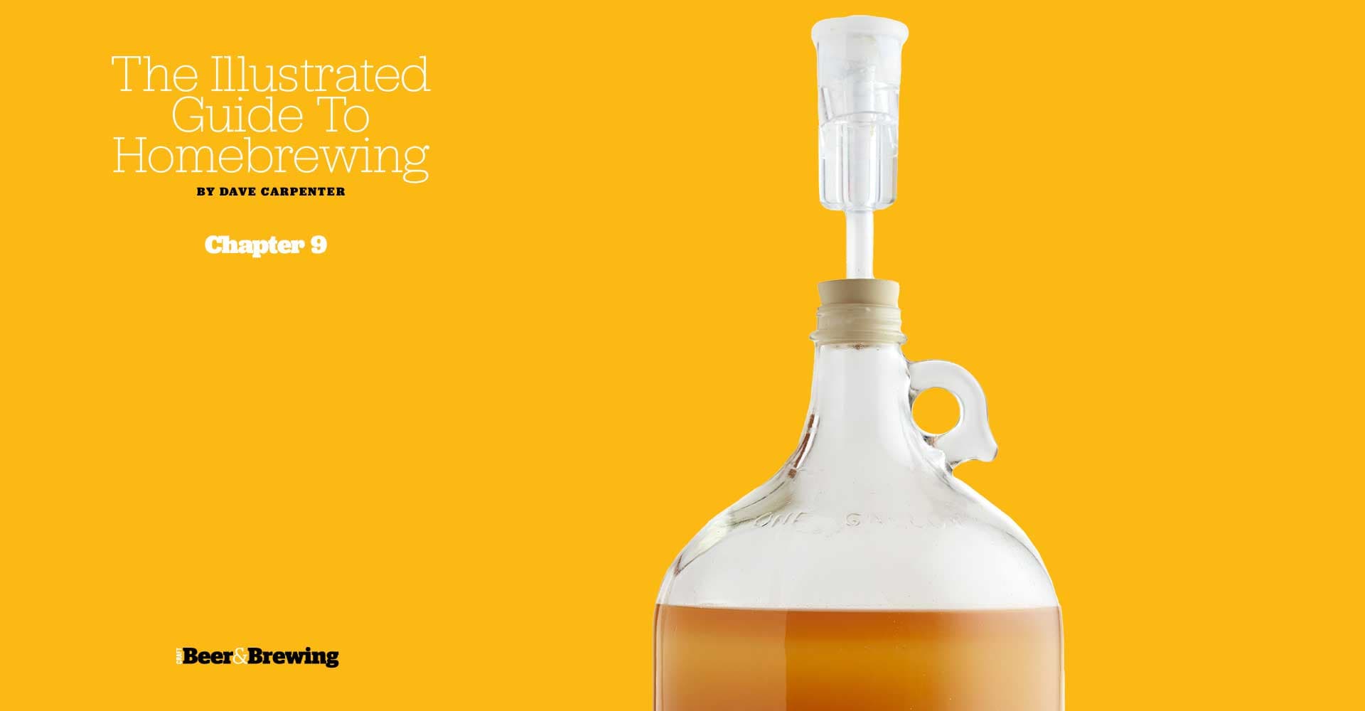 Time, and Other Ingredients: Beer Maturation Explained