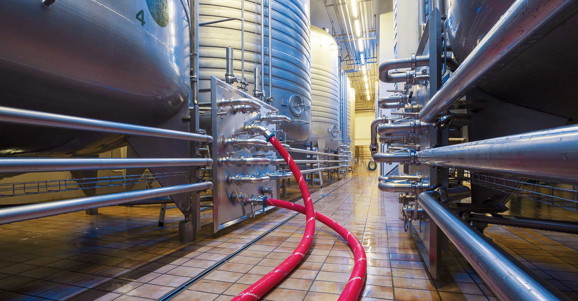 The Purple Snake: A Hose Designed with Beer In Mind