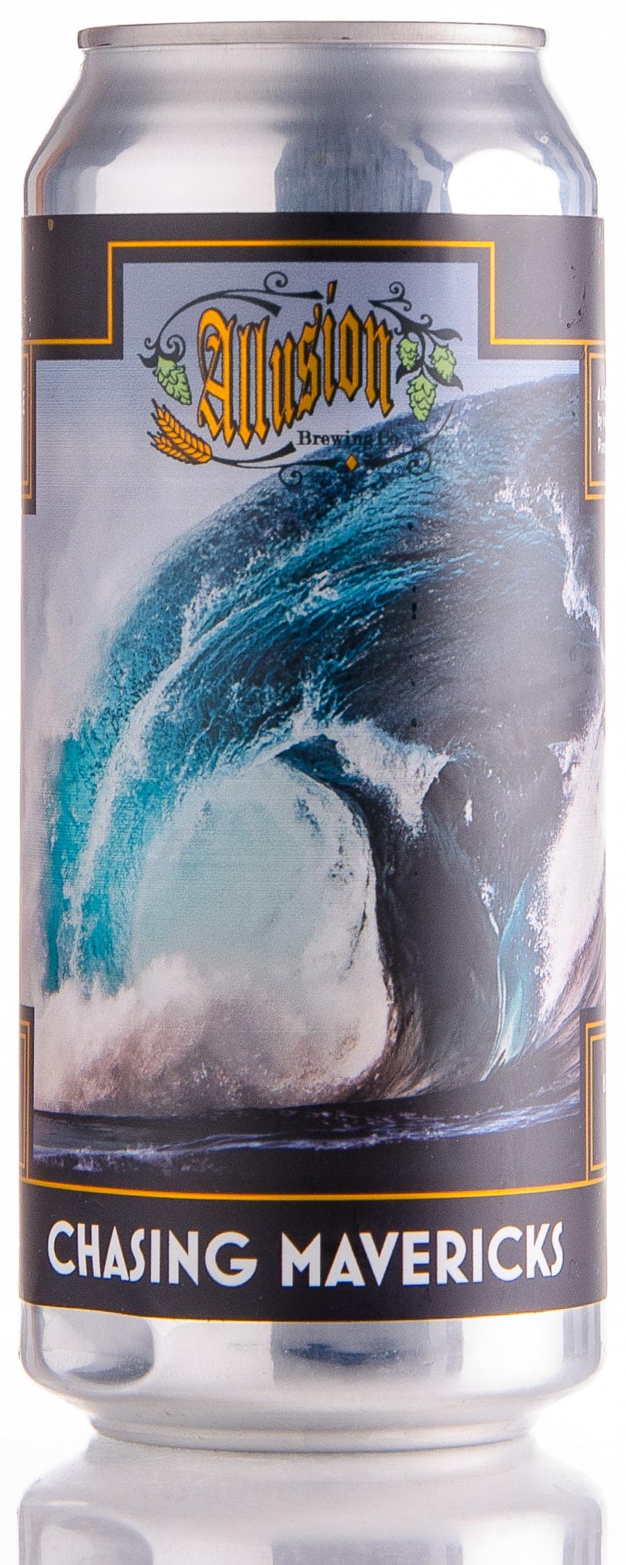 Chasing Mavericks