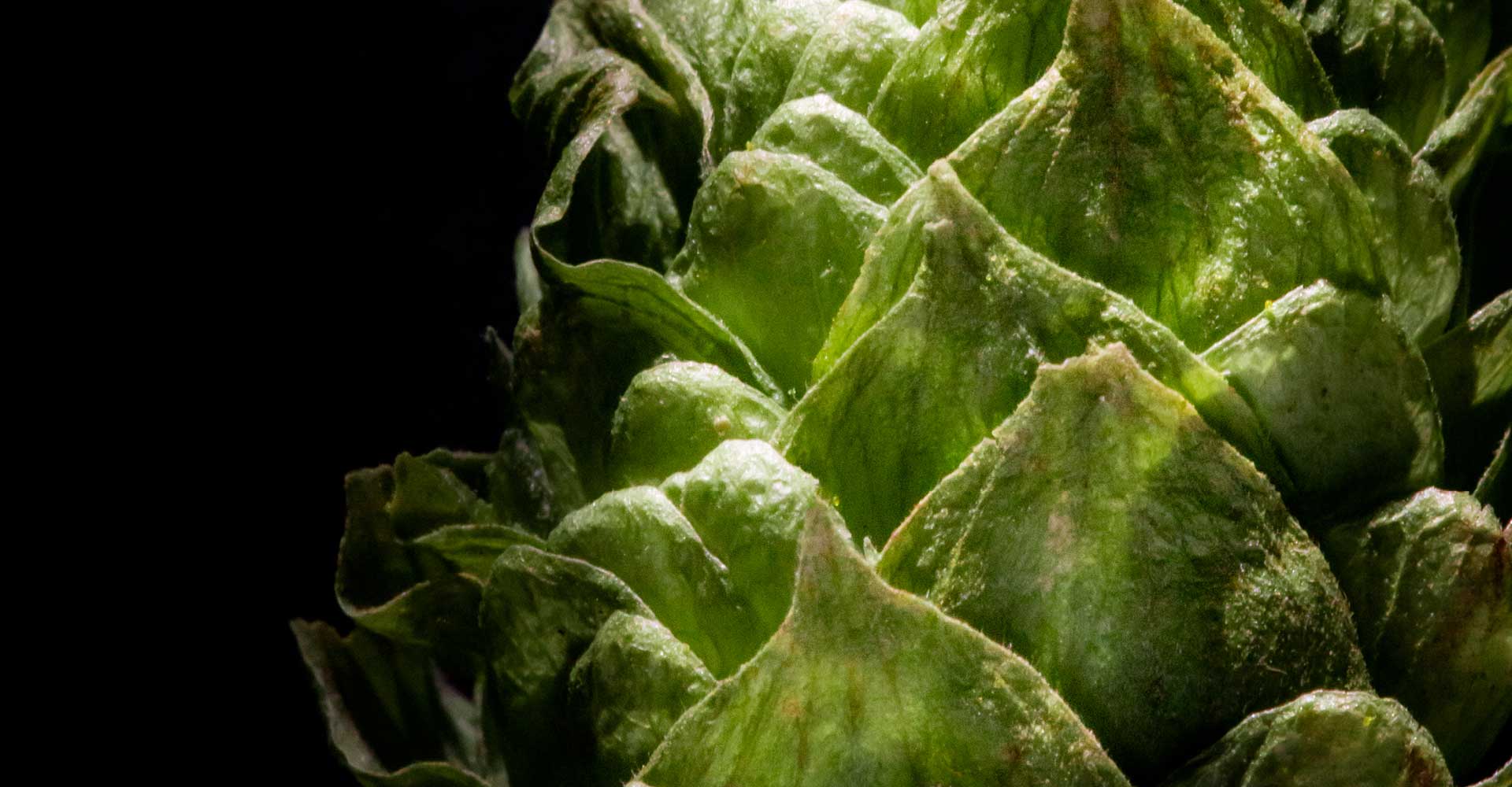 The Bitterness Problem