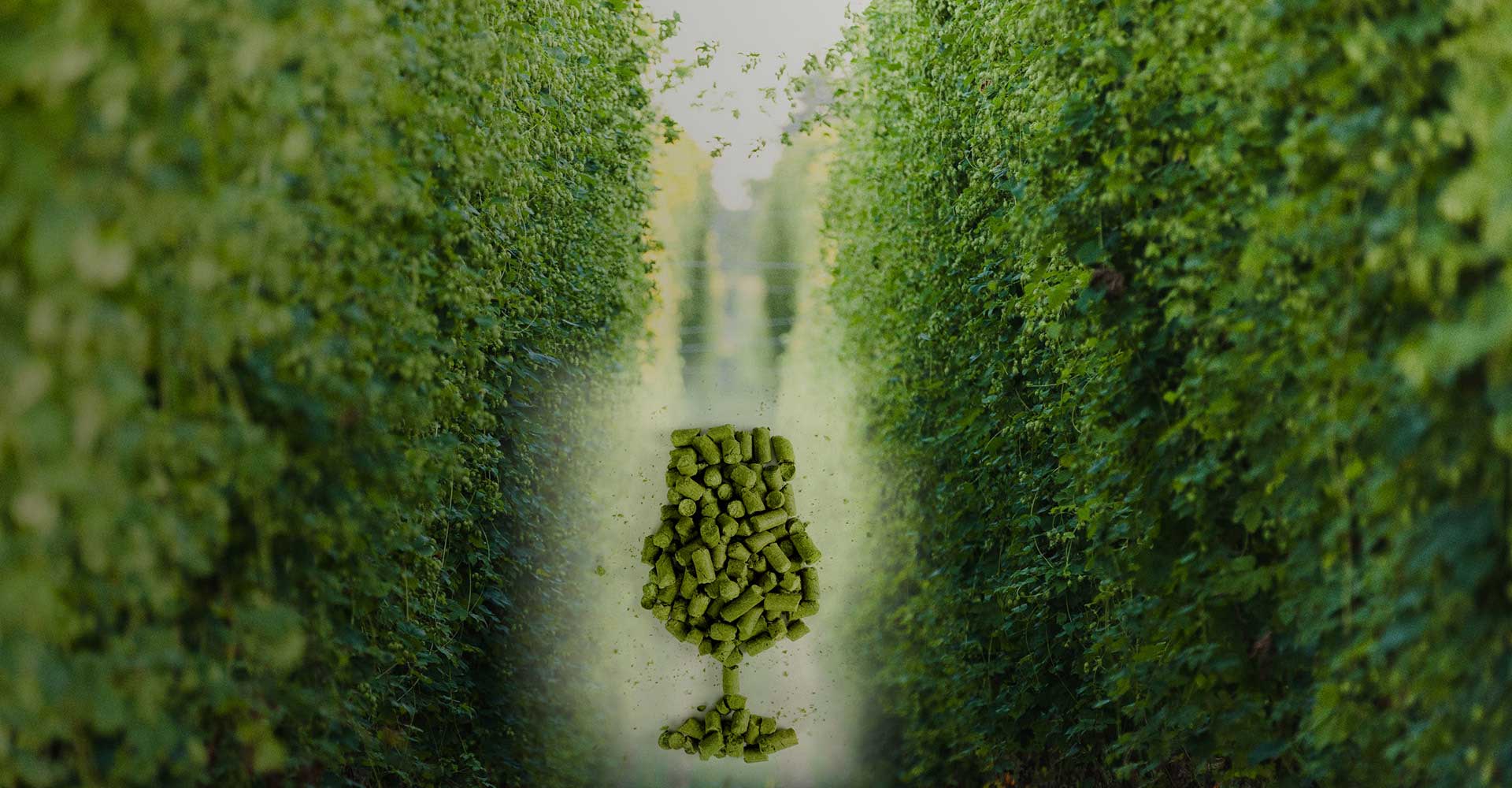 Drawing More Consumers with a Twist on Tradition