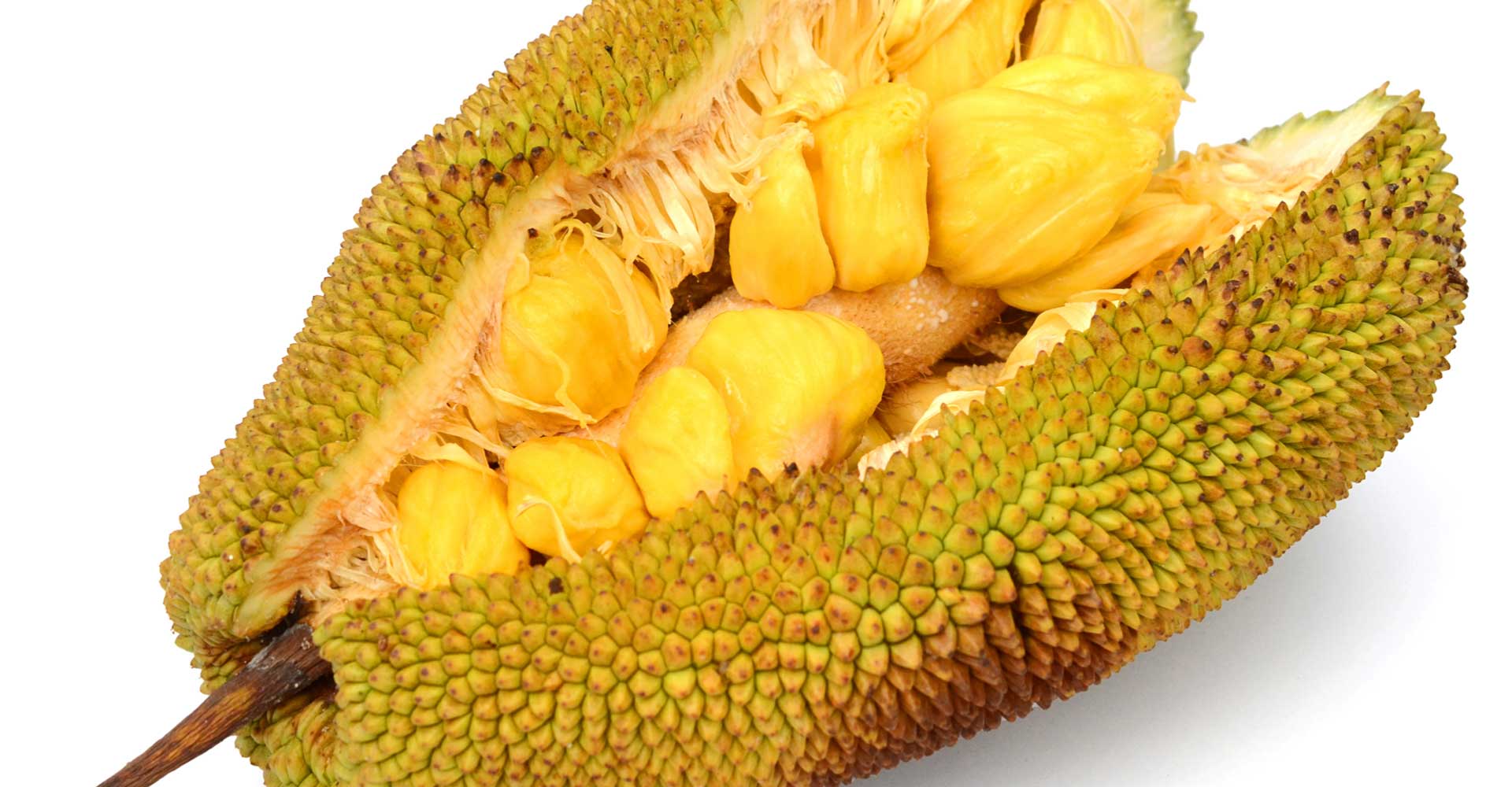 Special Ingredient: Jackfruit