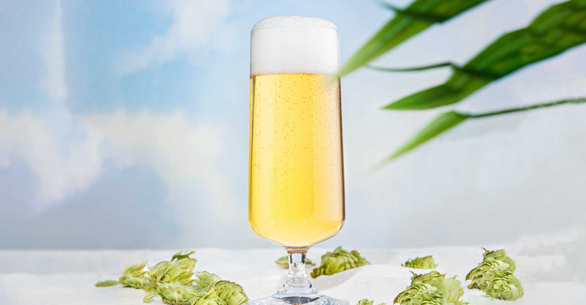 Writing the Rules of West Coast Pilsner (So They Can Be Broken)