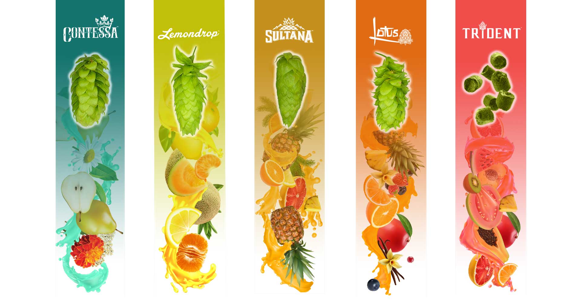 Brewing Outside the Box with Unique Hop Varieties