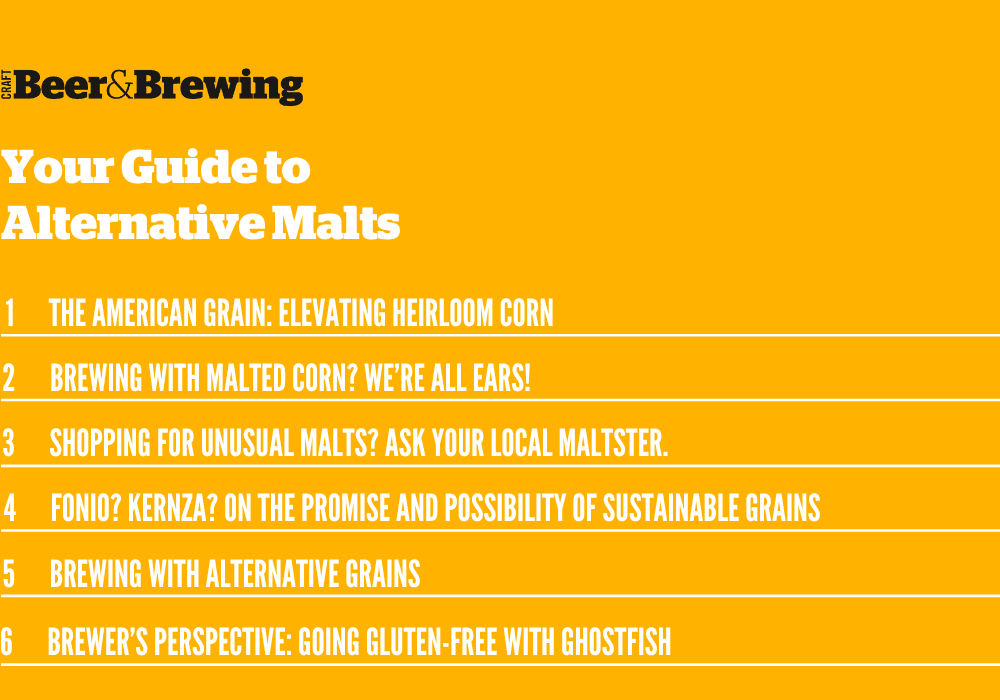 Alternative Malts