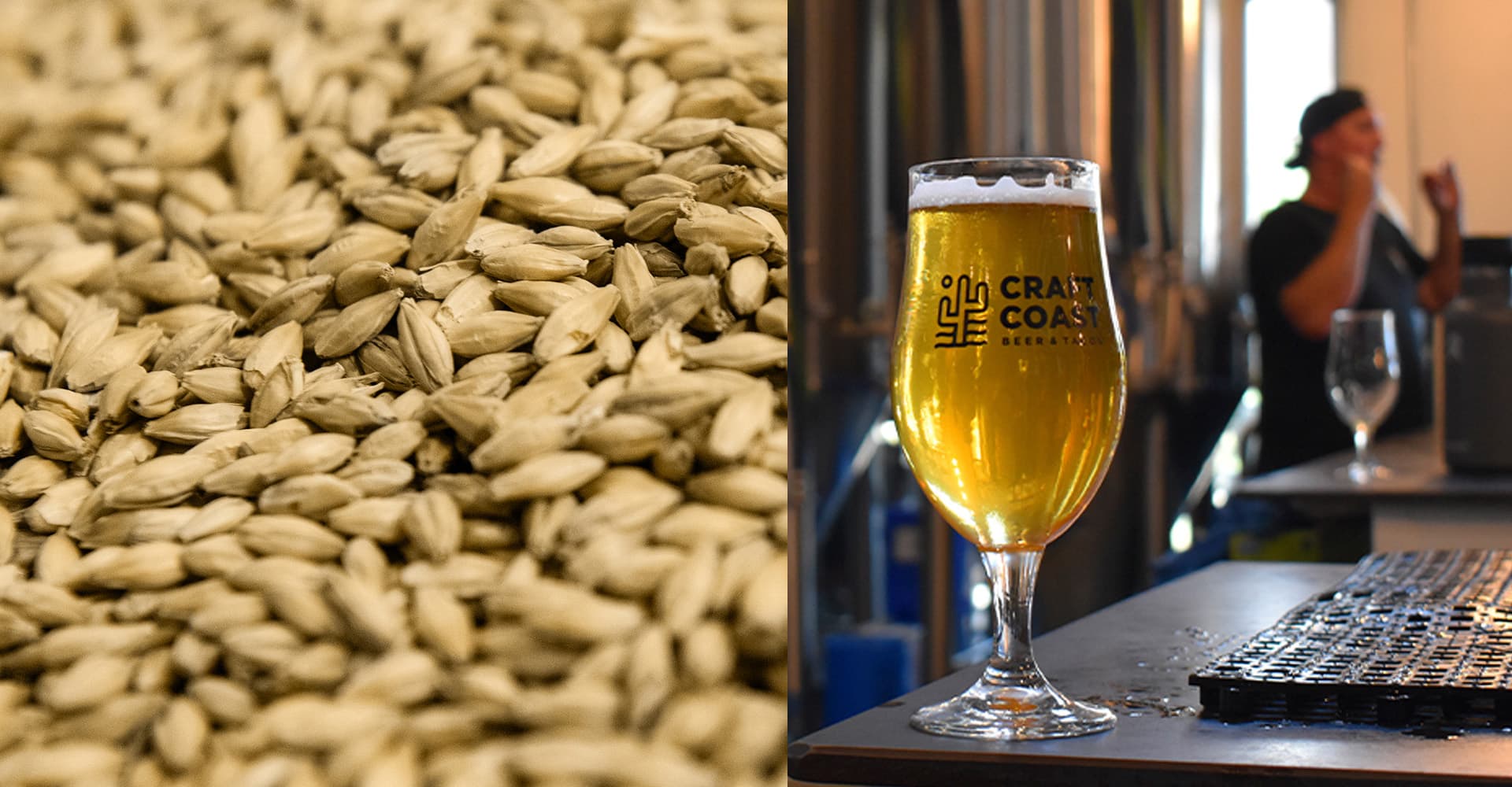 Podcast Episode 341: Spotlight on New IPA Malt from Gambrinus and BSG