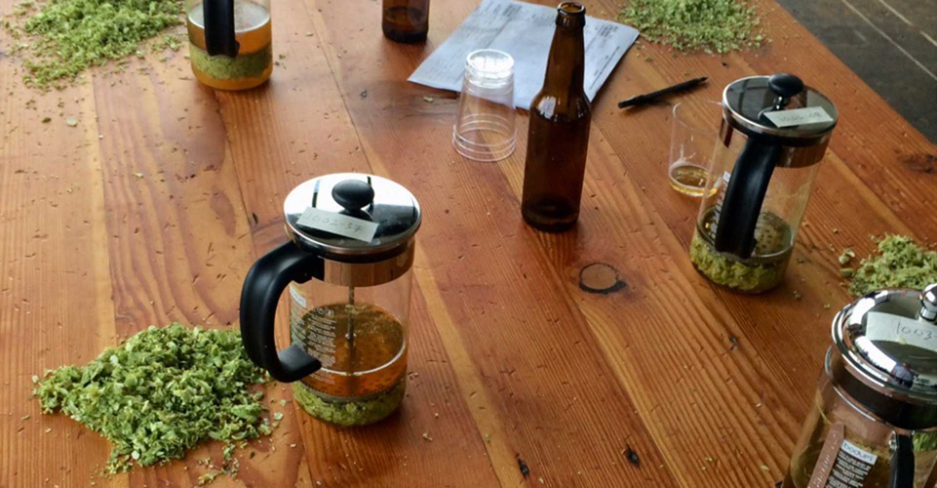 In Pursuit of Hop Magic to Broaden the Reach of Craft