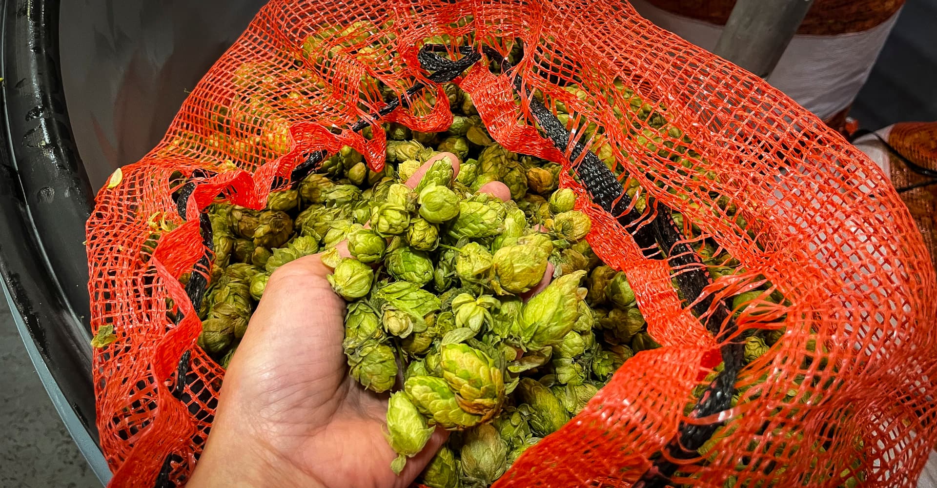 Podcast Episode 355: RipeLocker Enables a Fresh Approach to Brewing with Wet Hops