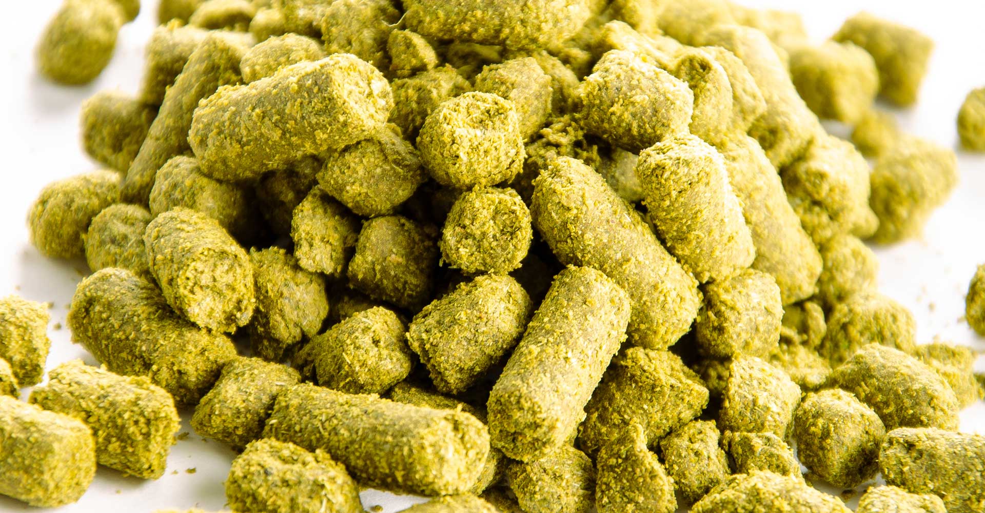 Fresher, Farther, Faster: Wet Hops, Beyond the Harvest