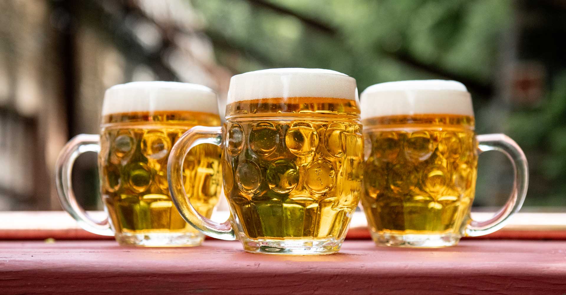 A Love Letter to Lager