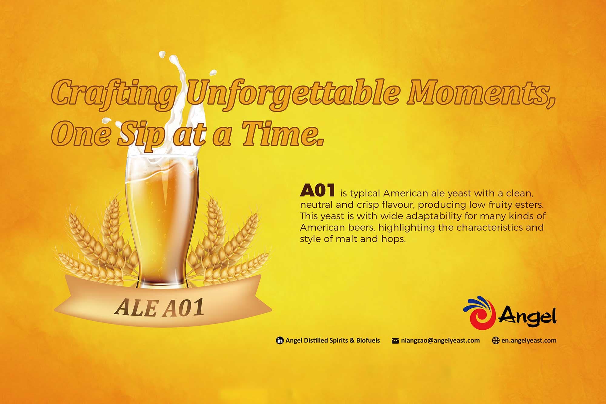 Celebrate American Ales