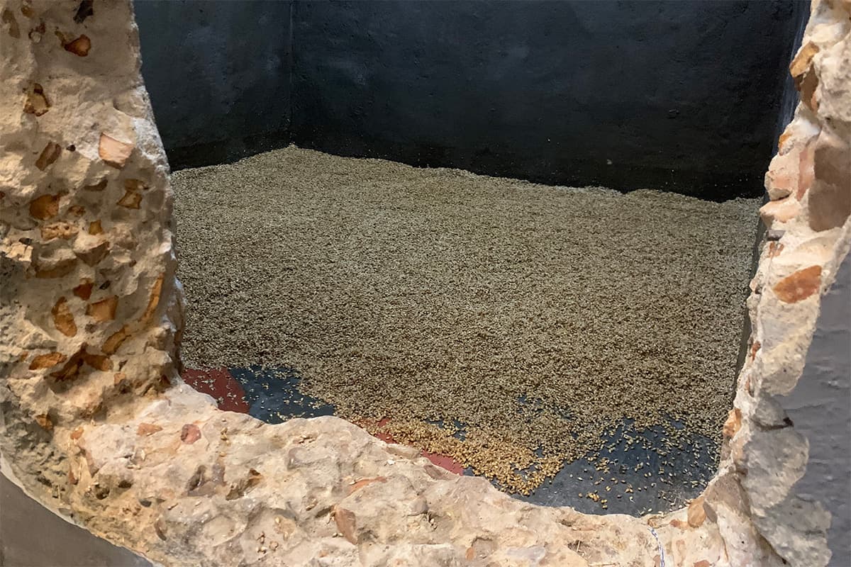 Brewing with Wind Malt