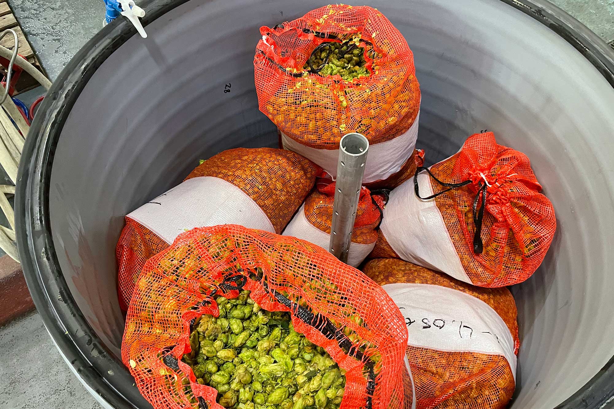 RipeLocker Supplies Fresh Hops to the Craft-Brewing Industry