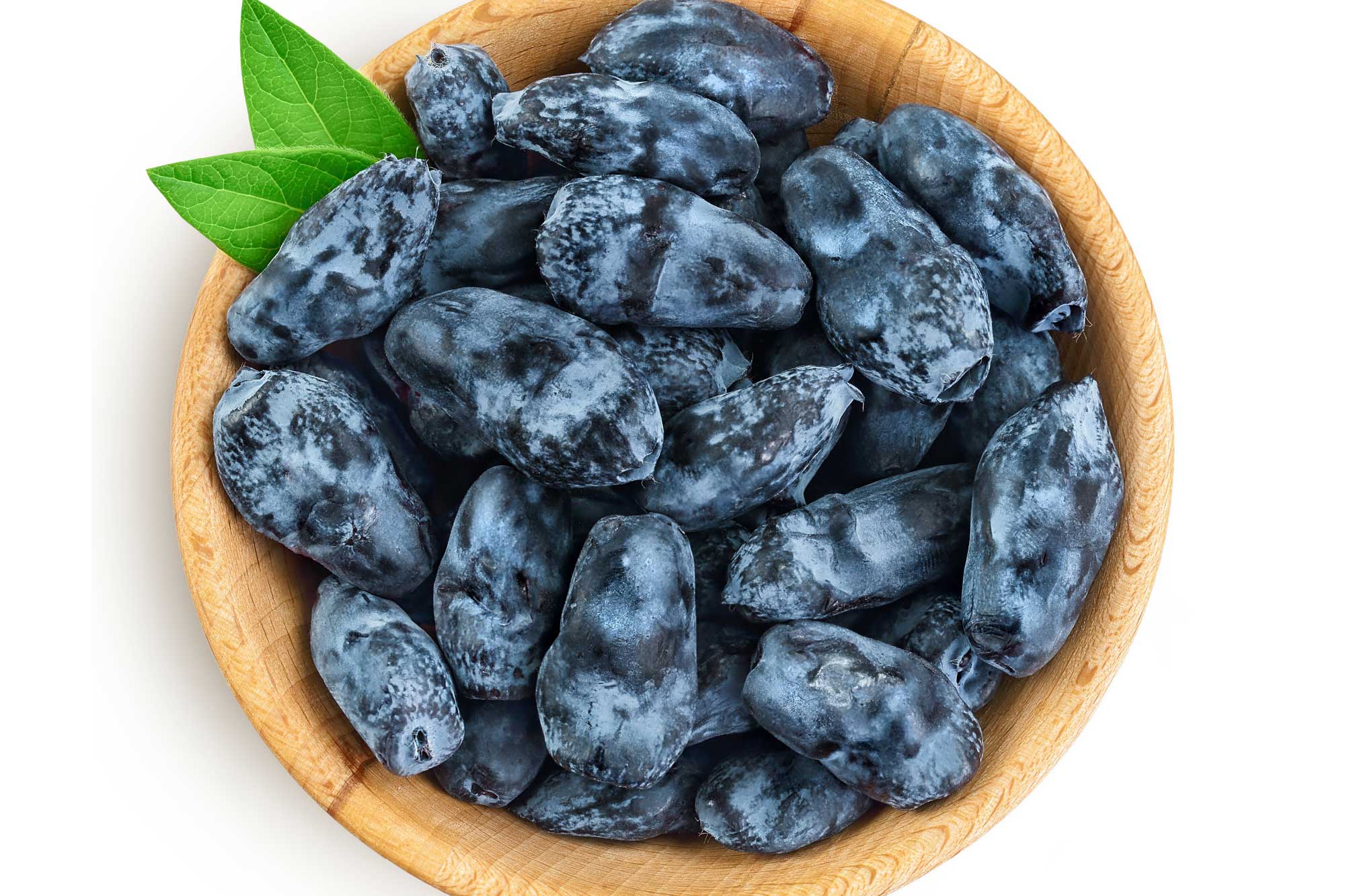 Special Ingredient: Haskap