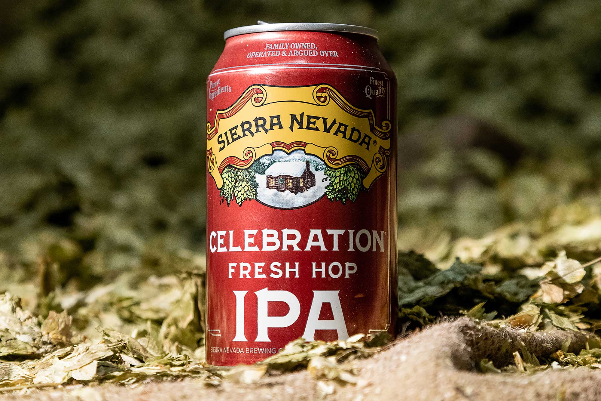 Recipe: Sierra Nevada Celebration IPA