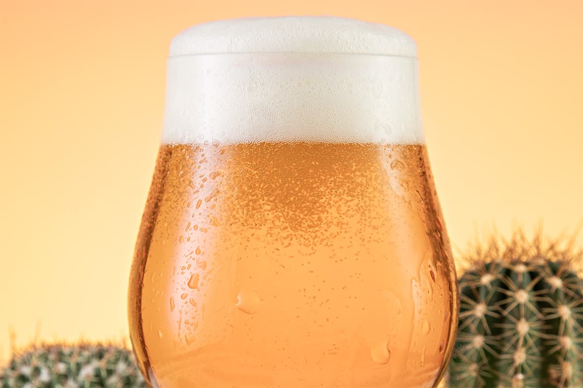 Try for Dry: Brewing IPAs That Make You Want More