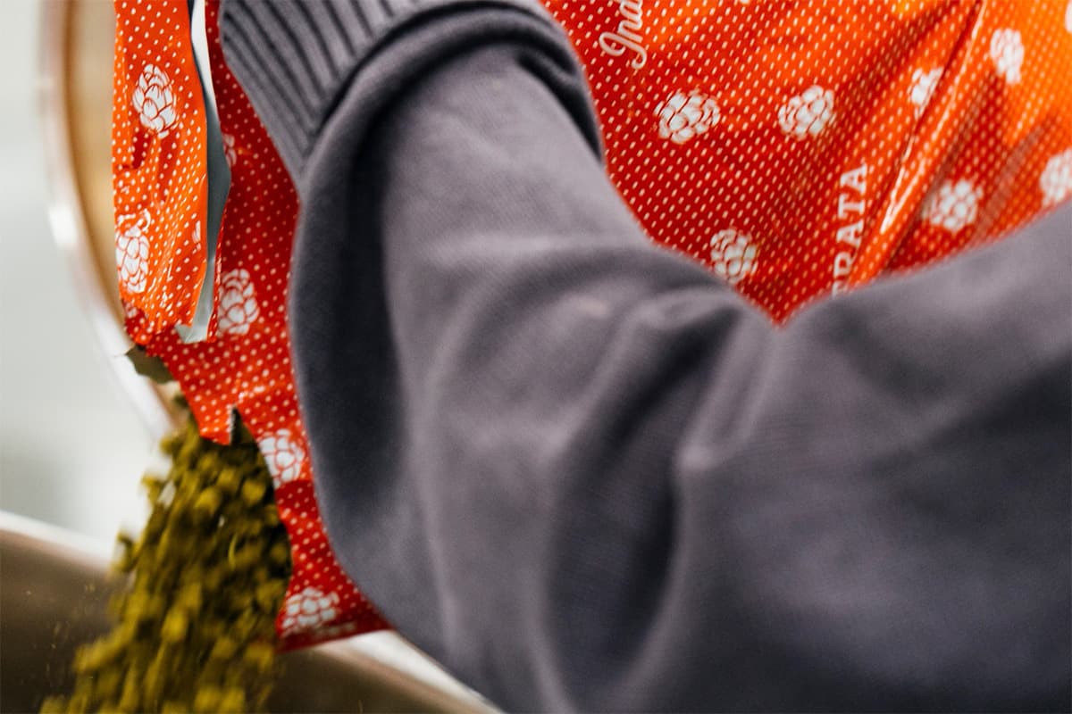 Reigniting Consumer Interest with Catchy New Hop Flavors