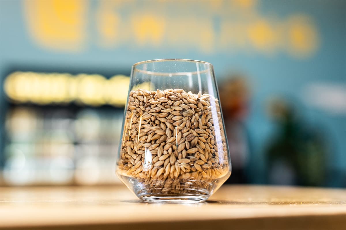 The Evolution of West Coast IPA | Video Tip