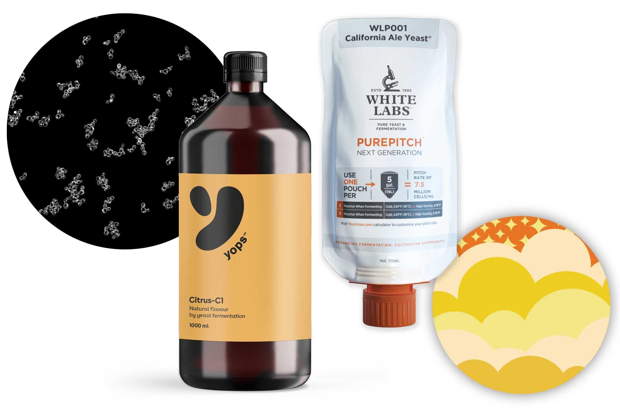 Editors’ Picks: Strain Gain