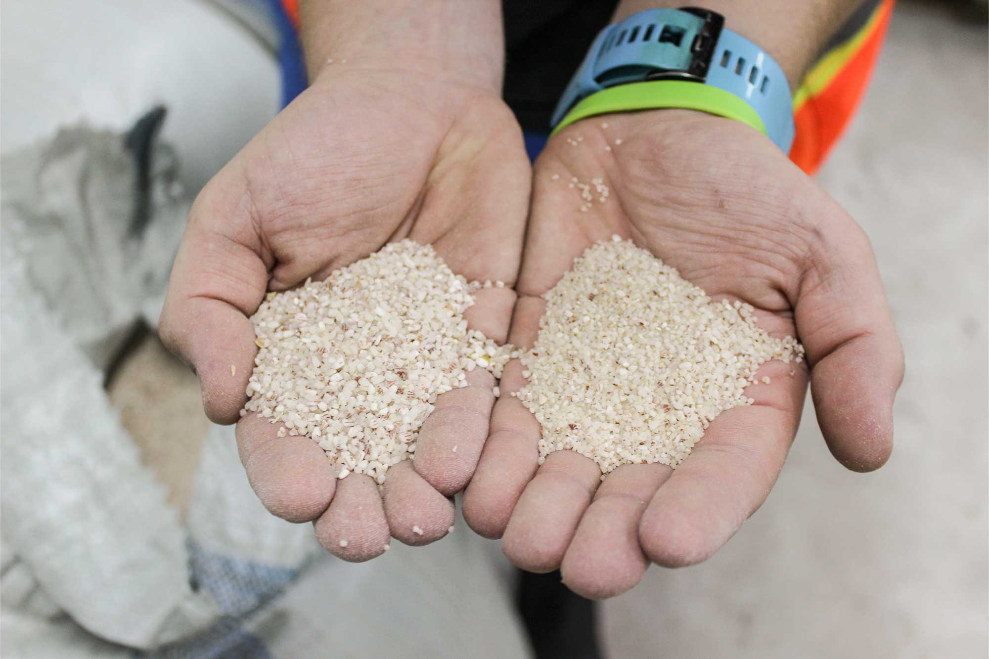Grown in Ghana: How Brewers in West Africa Are Embracing Local Grains