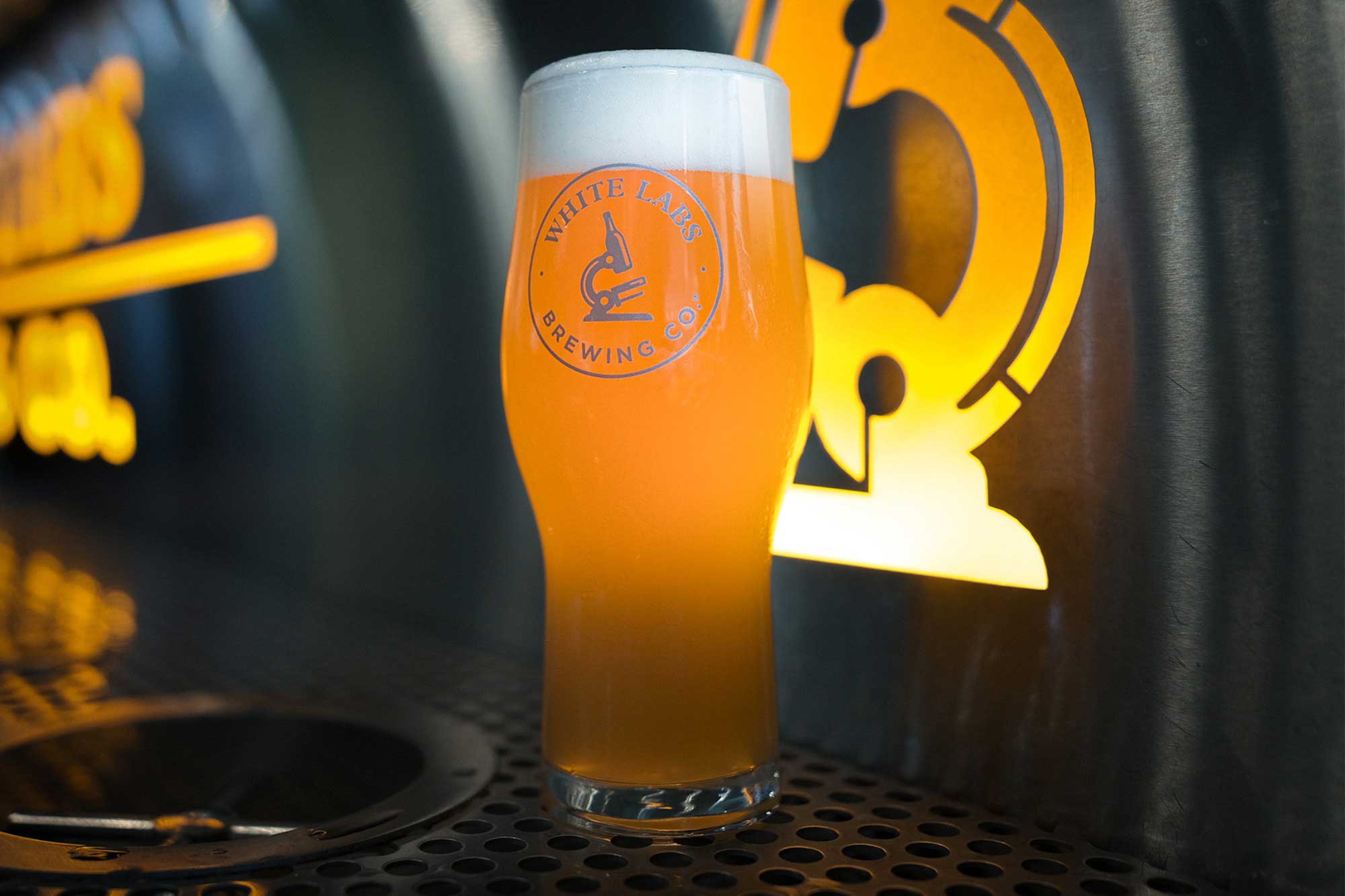 Mastering the Art of Lager Fermentation: Pro Tips for a Crisp, Clean Finish