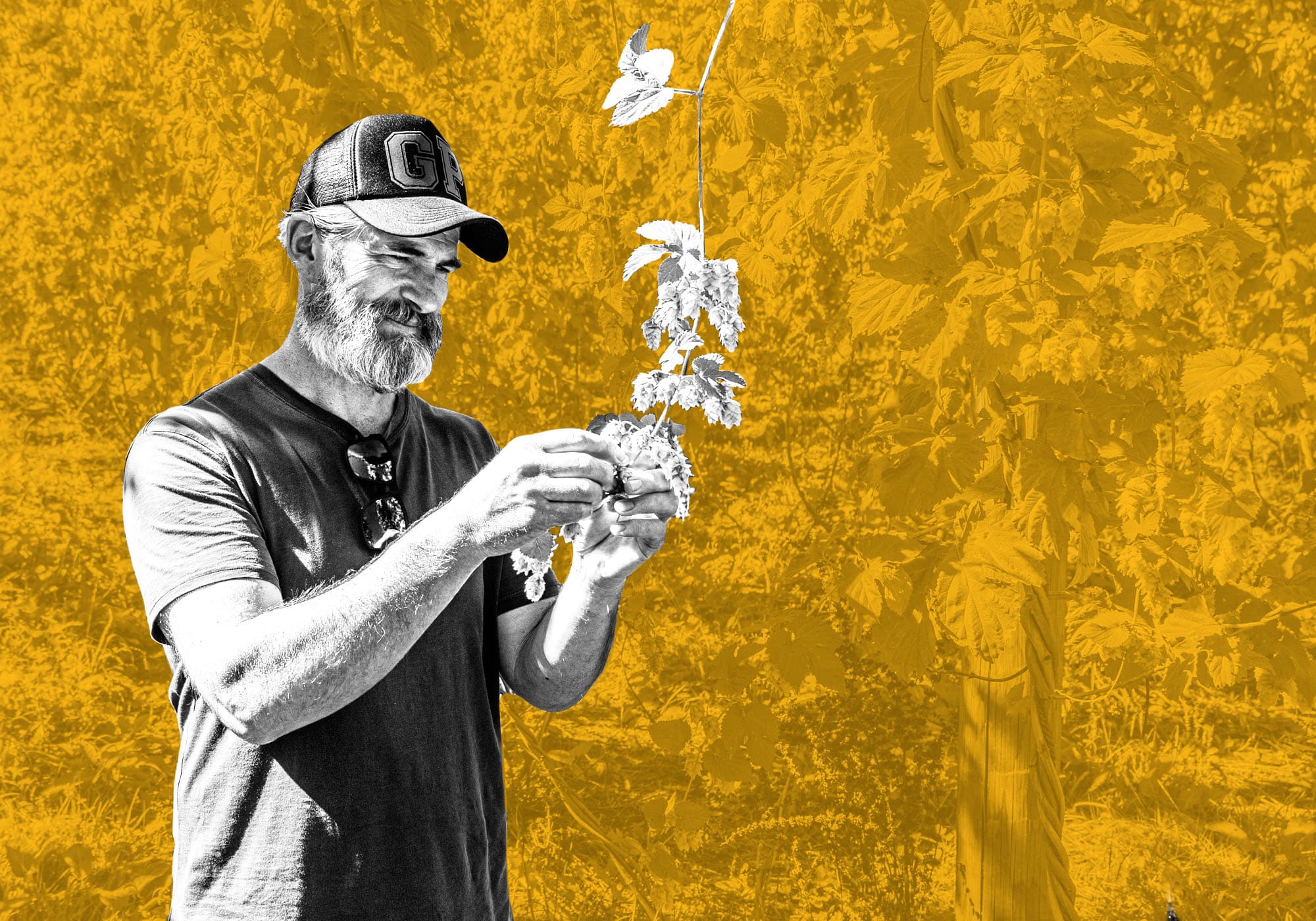 Podcast Episode 405: Pete Gillespie of Garage Project and Hāpi Research Is Fighting the Forces of Homogenization