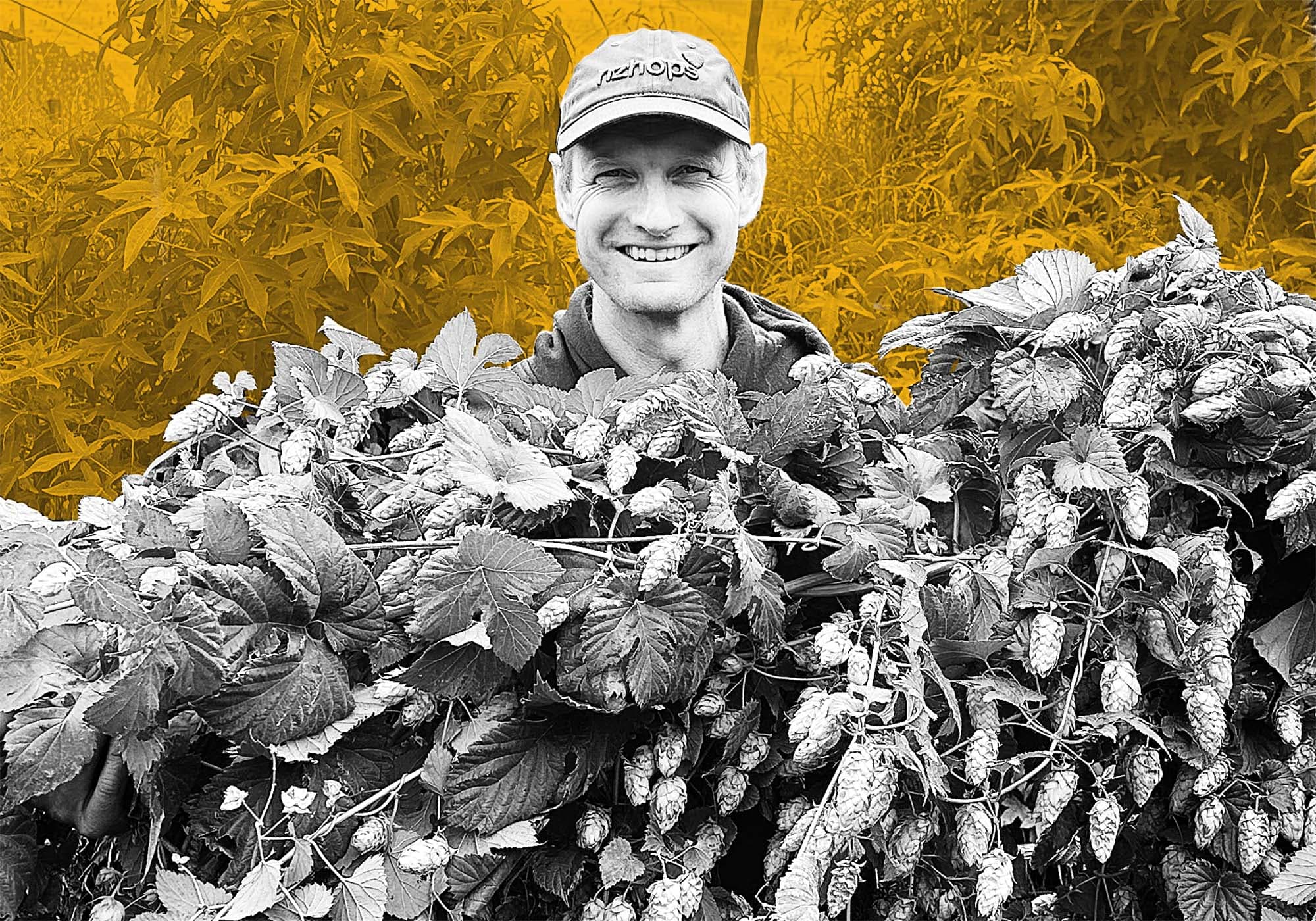 Podcast Episode 408: Brent McGlashen of Mac Hops is Harvesting Sunshine on the Family Farm in Motueka