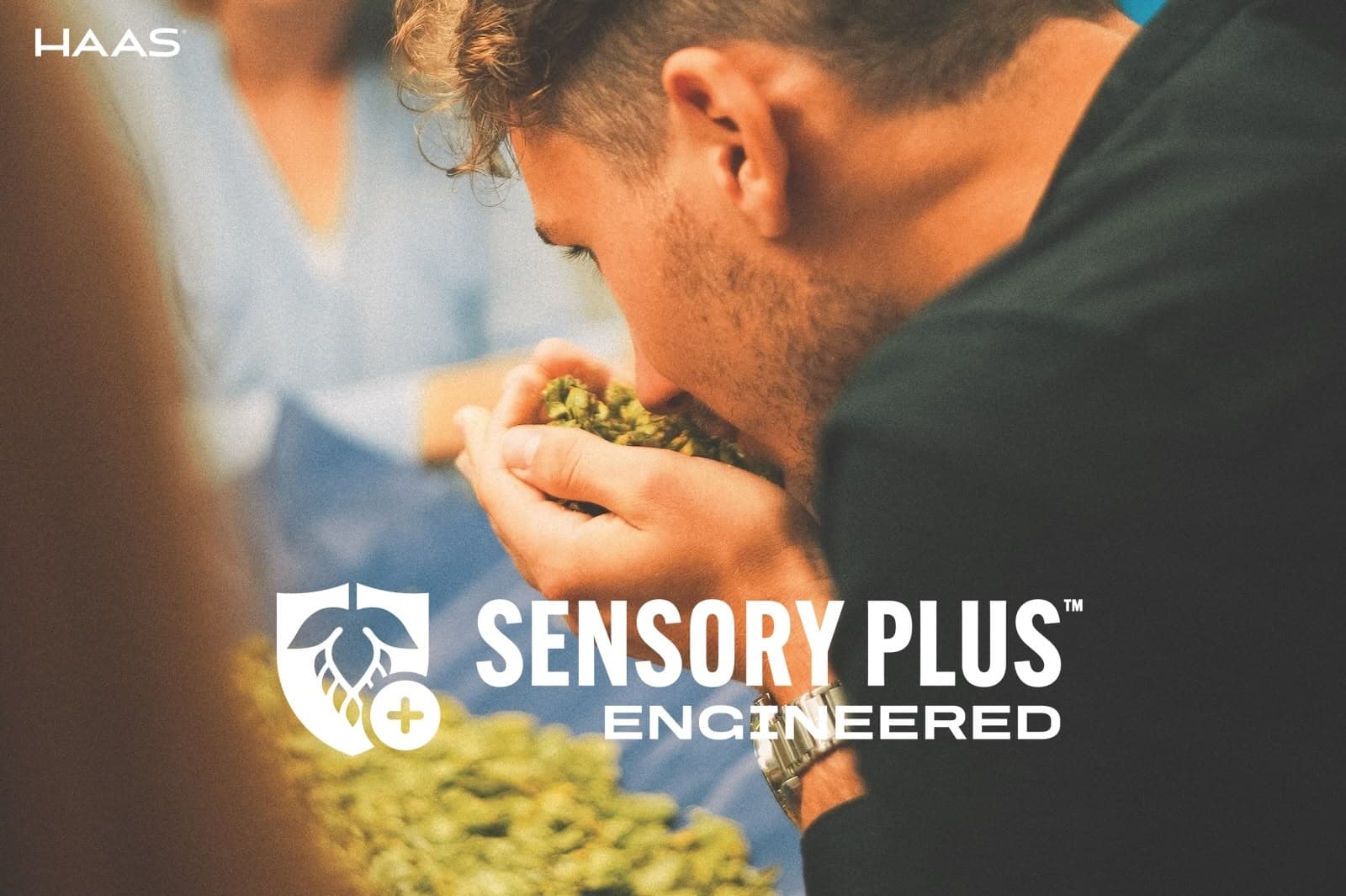 Better Brewing through (Sensory) Engineering