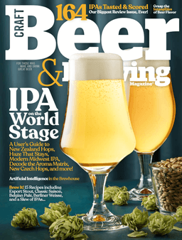 IPA on the World Stage (Summer 2025)