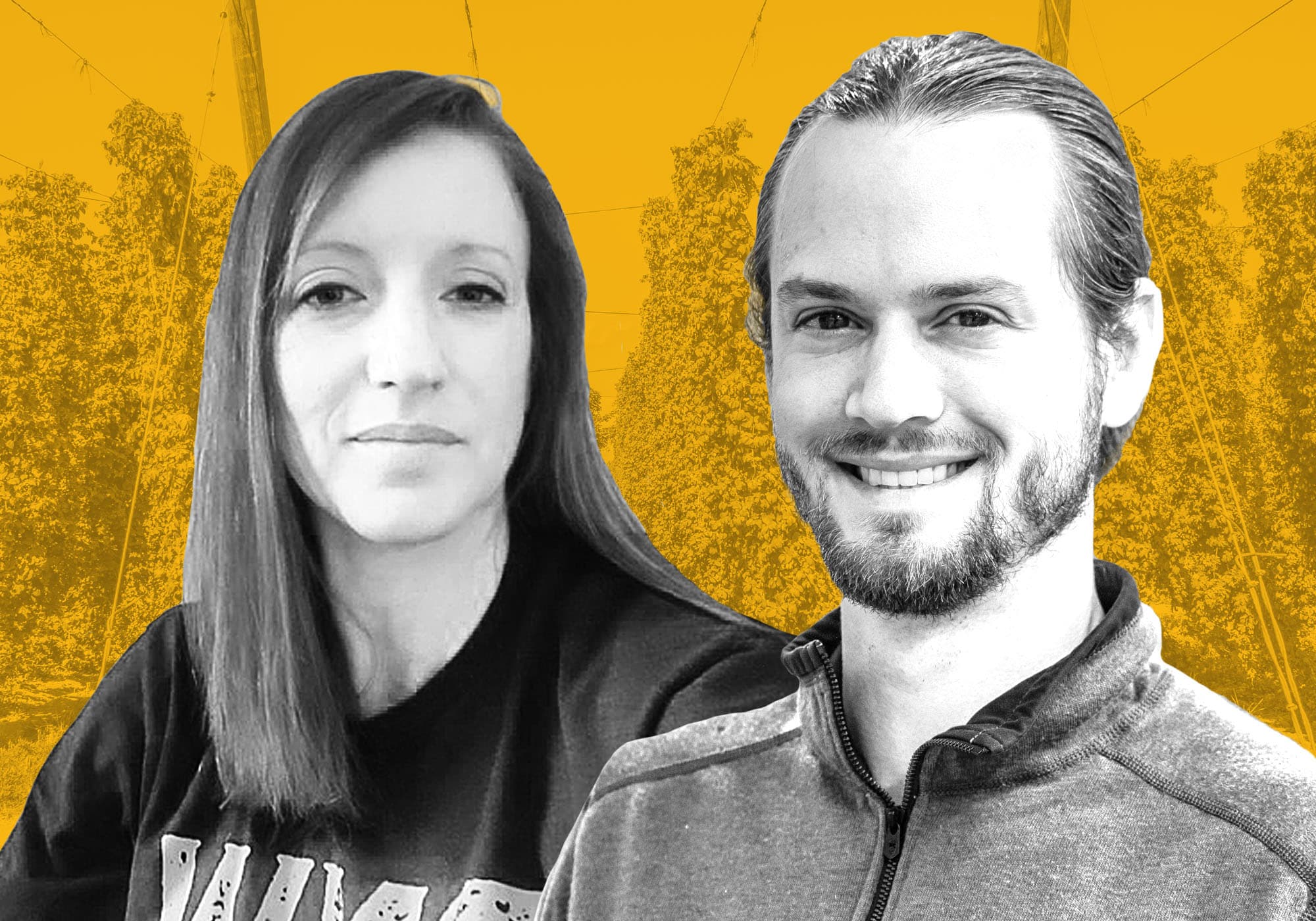Podcast Episode 413: Hop Scientists Megan Twomey and Ryan Christian Share the Latest on Virus-Free Hops