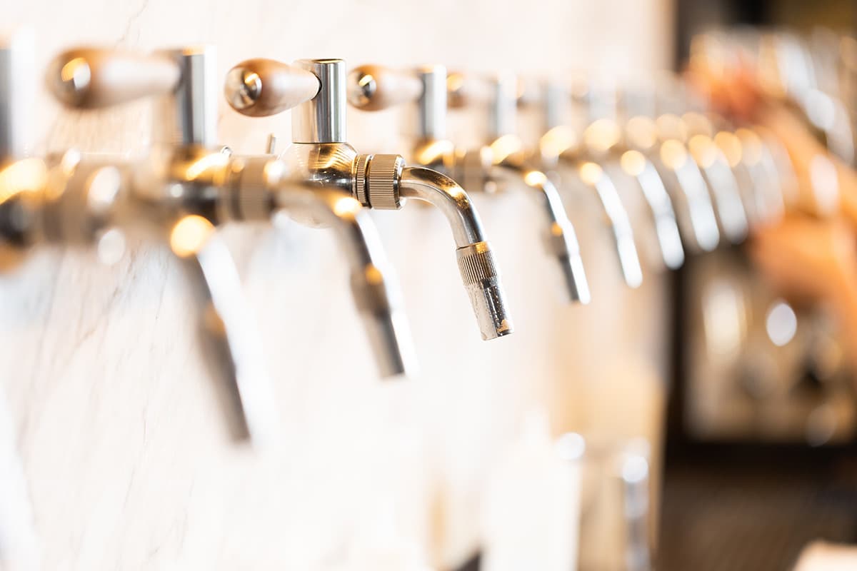 Using Whole-Leaf Hops for Easy-Drinking Lagers | Video Tip