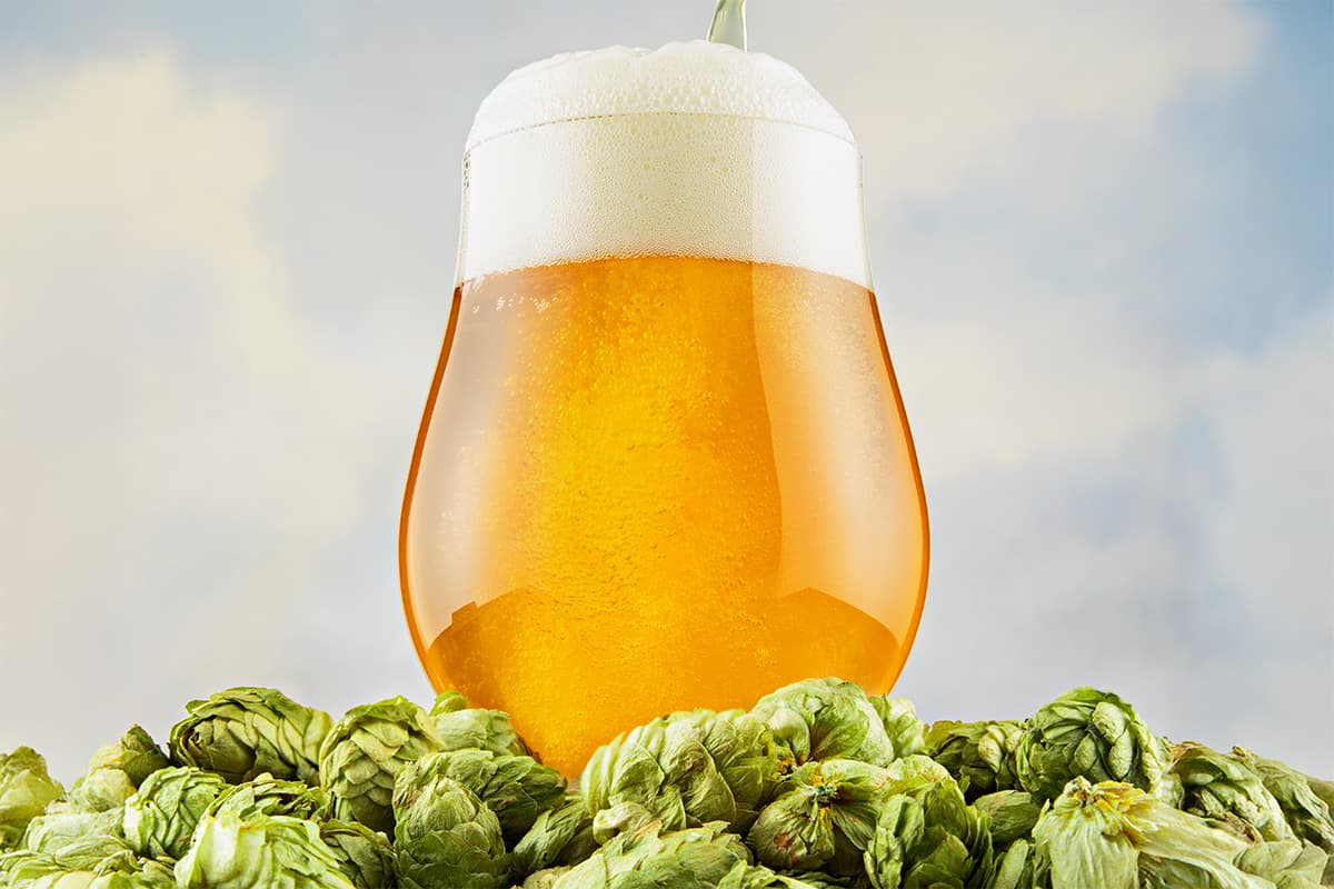 Style School: The Greenest Beer of All