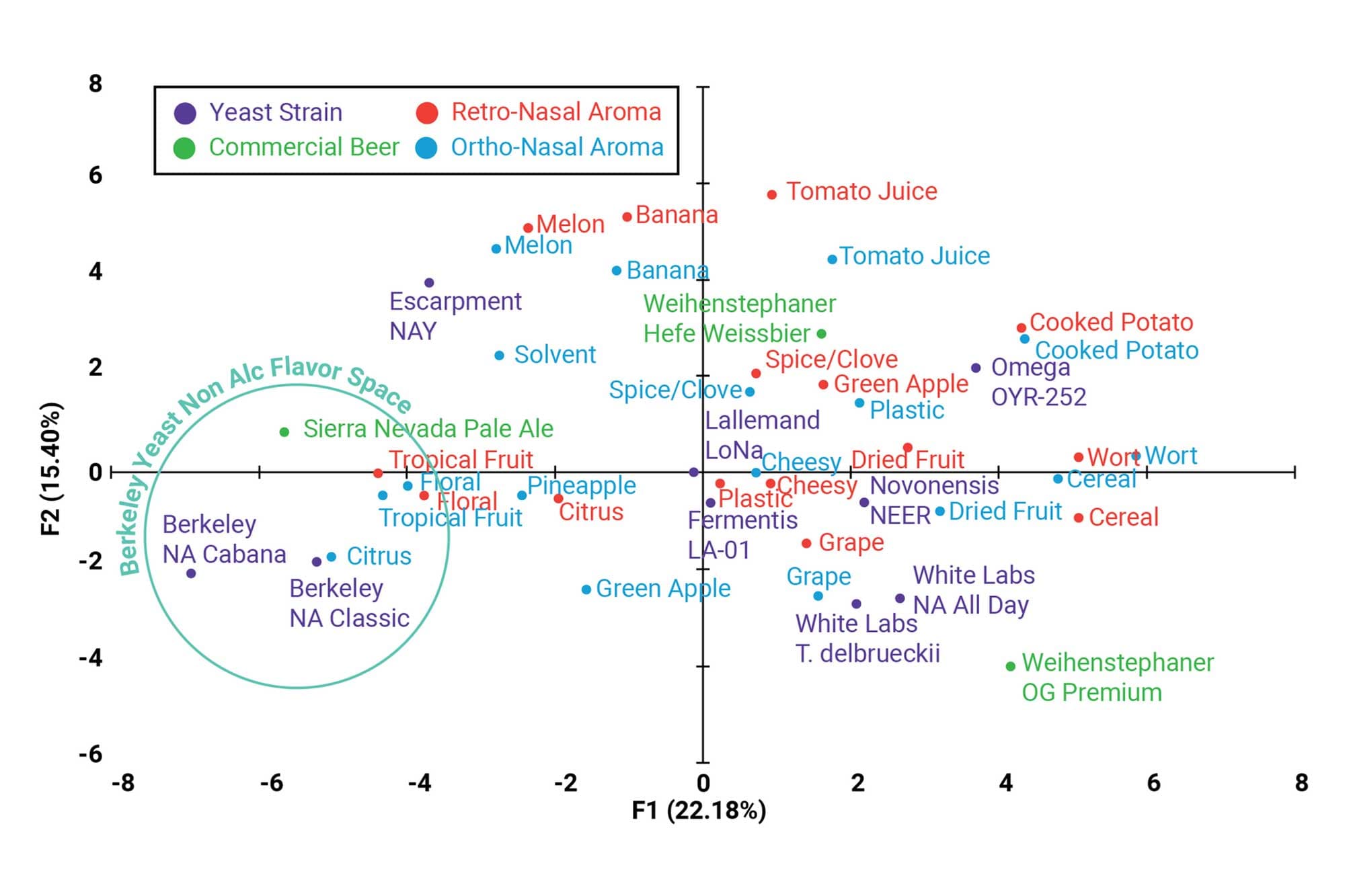 Study Highlights Flavor Impact of Yeast Strains in NA Beer
