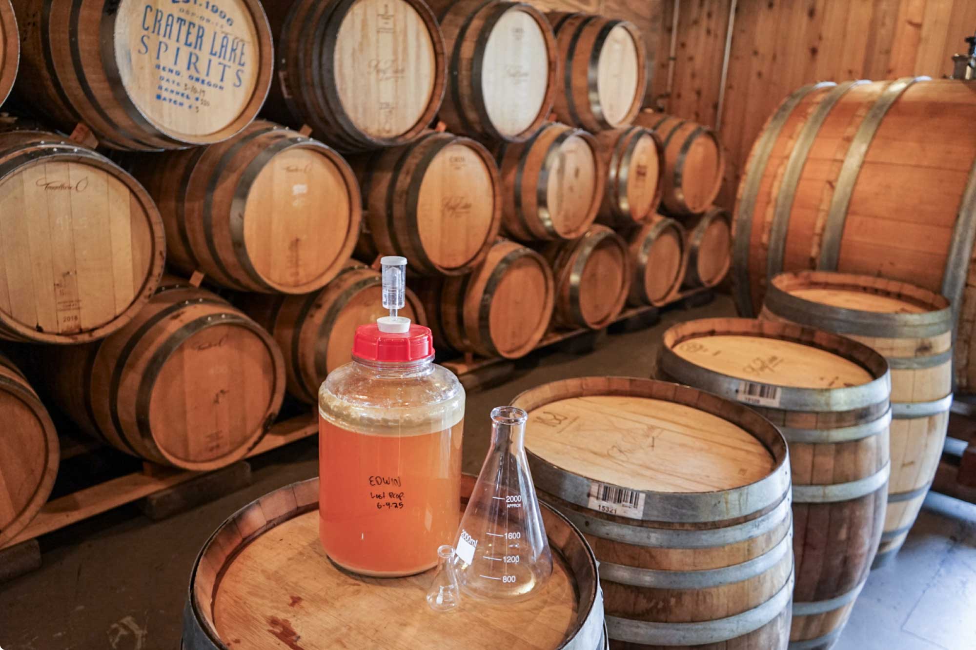 Brewer’s Perspective: Modern Funk, the Funky Fauna Way